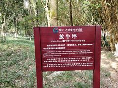 -邓小平故里