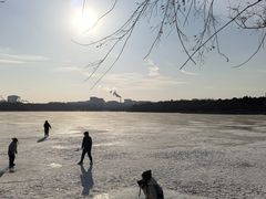 -长春市南湖公园