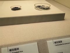 -辽宁省博物馆