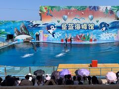 -北戴河圣蓝海洋公园