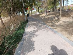 -美兰湖景区