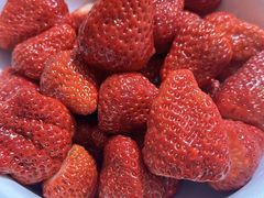 -田趣农庄草莓采摘园