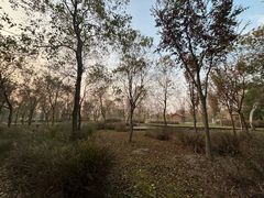 -溱湖国家湿地公园