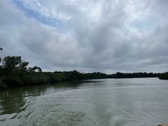 -东寨港红树林旅游区