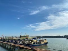 -大湾区中央湿地公园-十九涌