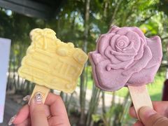 -亚龙湾国际玫瑰谷