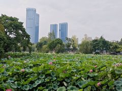 -西南交通大学(九里校区)