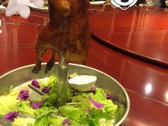 -东方之珠海鲜酒楼(南开店)