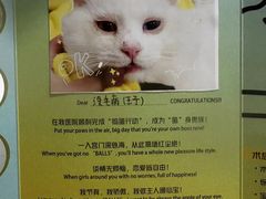 -美联众合动物医院·24h转诊中心