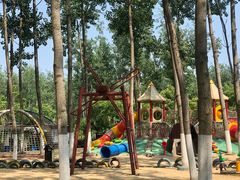 -合肥滨湖国家森林公园