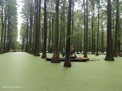 -渌洋湖湿地公园