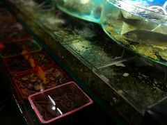 -海港酒店(海鲜美食城店)