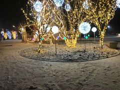 -奈雪的茶(中粮祥云小镇店)