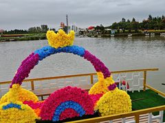 -荷兰花海