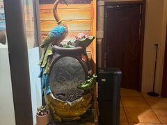 -竹雀古法采耳(青岛麦凯乐店)