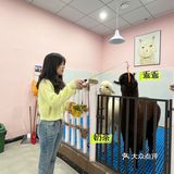 杭州探店｜超好拍的萌宠馆，一起来撸宠物了