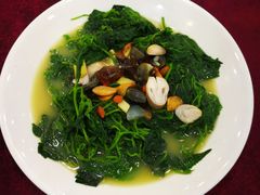 上汤桑叶，吾系蚕宝宝吃那种-喜运来酒楼(江南大道店)