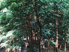 -马峦山郊野公园