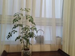 -隆德堂青瓷艺术·茶馆(故宫店)