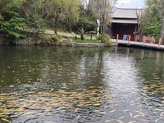 -丽江玉水寨