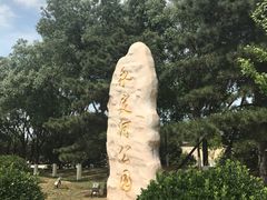 -永定河休闲森林公园