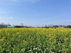 -中国天府农业博览园