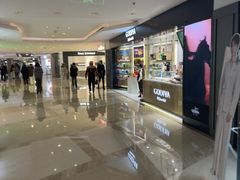 -港汇恒隆广场