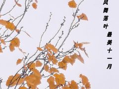 -七菜馆·东北菜·蒸饺(文体路店)
