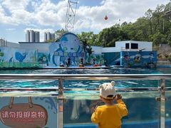-深圳野生动物园