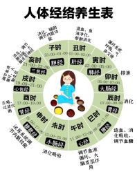 -香薇妮丝·定制减肥·身材管理