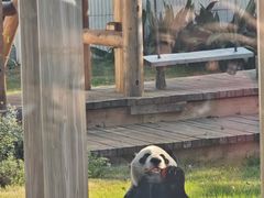 -无锡动物园·太湖欢乐园