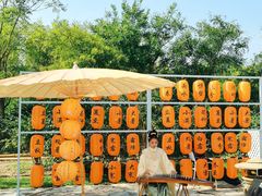 -天津东丽湖风景区