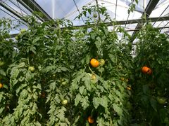 -兰陵国家农业公园