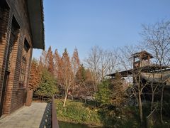 -泗洪洪泽湖湿地景区