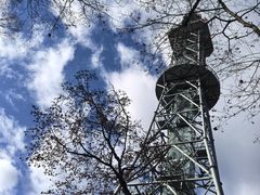 -汤旺河林海奇石景区