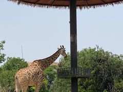 -济南野生动物世界