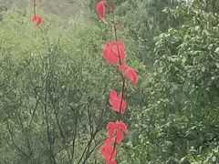 -龙门涧景区