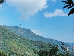 -深圳仙湖植物园