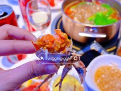 -半岛听涛蒸汽海鲜自助(K11店)