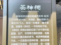 -茯茶镇