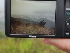 -梧桐山风景名胜区