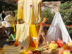 -杭州半山国家森林公园