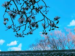 -真庆观