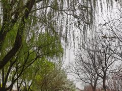 -西安青龙寺遗址景区