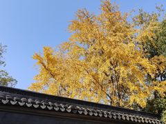 -西园寺素食(西园弄戒幢律寺店)