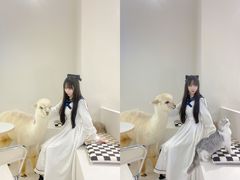 -怪兽屋·羊驼·猫咖·狗咖(俊华广场店)