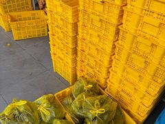 -召稼楼永茂昌粽子大王