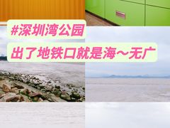 -深圳湾公园(南山区)