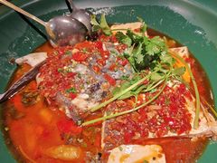黄晓猫剁椒鱼头-黄晓猫剁椒大鱼头(海岸城店)