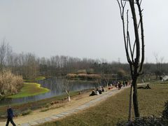 -桤木河湿地公园